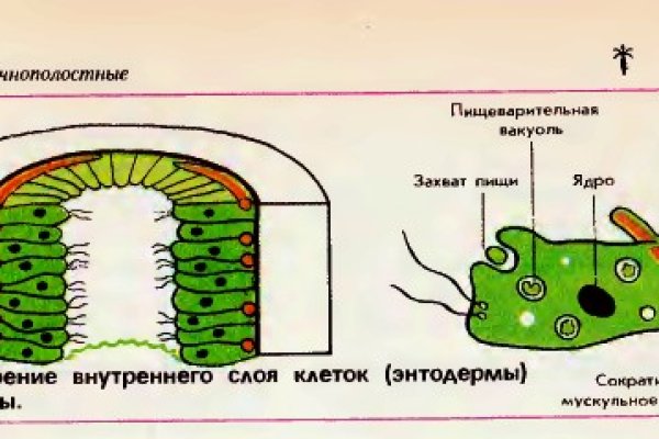 Кракен рабочее зеркало