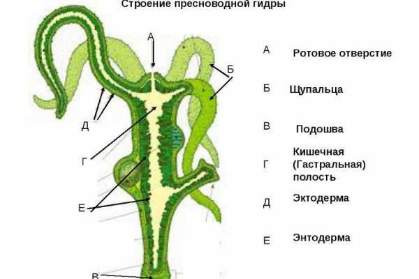 Наркосайт кракен