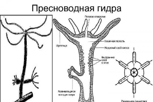 Сайт kraken в tor