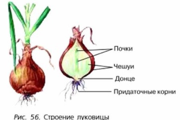 Сайт кракен онион